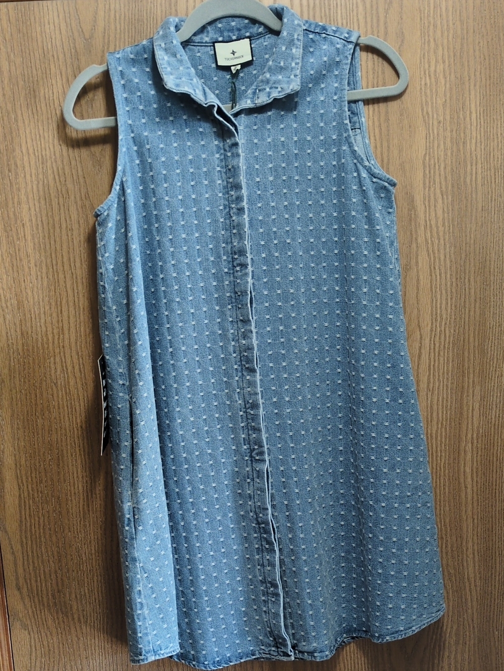 Tuckernuck Light Wash Denim Dot Sleeveless Charlie Dress